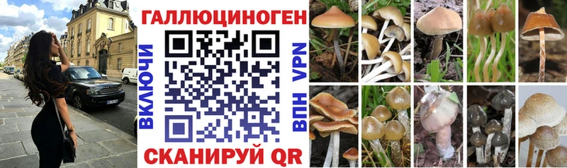 наркотики  Яблоновский  Псилоцибиновые грибы Cubensis 